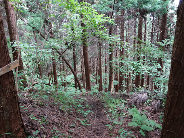 鳥取県西伯郡南部町東上の鎌倉山に登ります