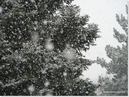 february snowflakes