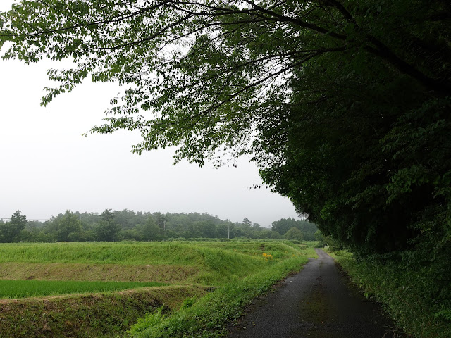 鳥取県西伯郡伯耆町岩立　農道