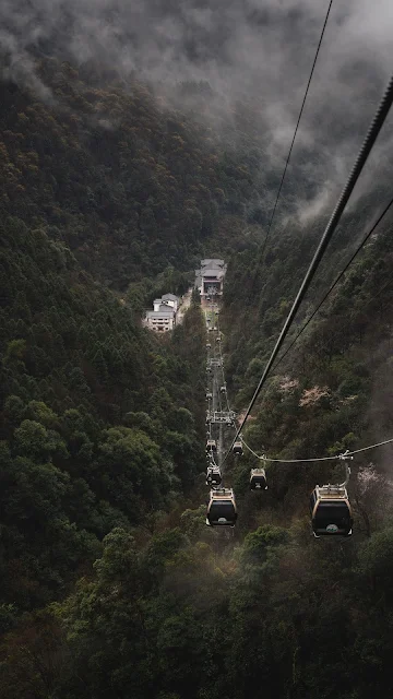 HD Wallpaper Nature, Forest, Cable Car, Cabins, Fog