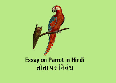 Essay on Parrot in Hindi | तोता पर निबंध
