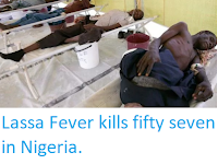 https://sciencythoughts.blogspot.com/2018/02/lassa-fever-kills-fifty-seven-in-nigeria.html