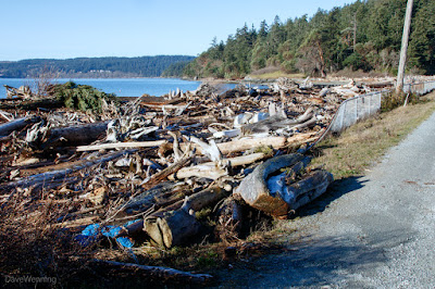 Kukutali Preserve, Washington