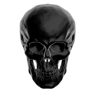 Facial bone view