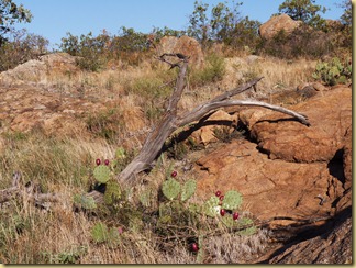 P1270774