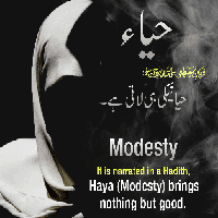 Islamic Modesty Quote