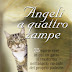 Vedi recensione Angeli a quattro zampe. 35 storie vere in cui un gatto si trasforma nell'angelo custode del proprio padrone PDF