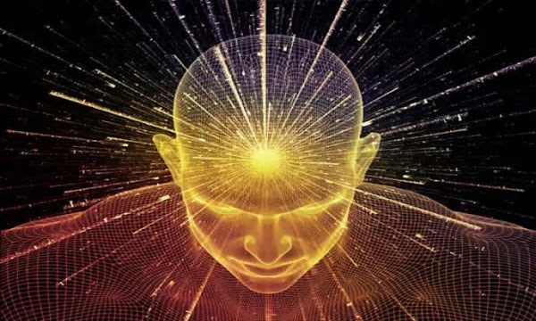 Is There a Law of Human Attraction?