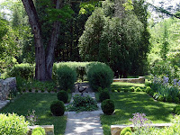 Bamboo In Gardens