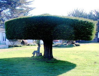 Amazing Topiary Art Wallpapers