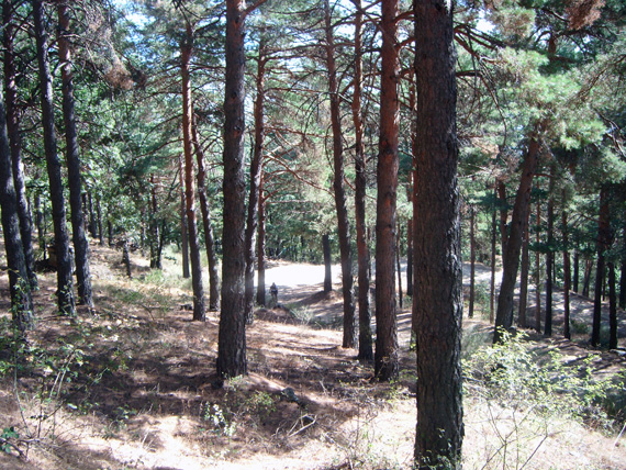 Nuestra ruta de Madrid a la Morcuera y Canencia. Septiembre 2012