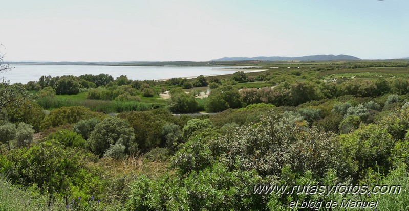 Laguna de Fuente de Piedra y Lagunas de Campillos