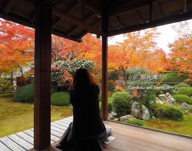 [京都] 源光庵：書院から見える紅葉