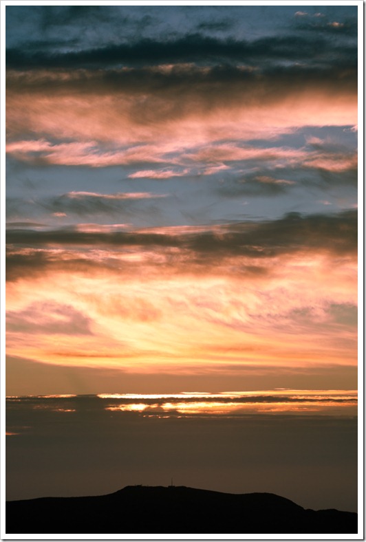 JoshuaTreeFacebook-119