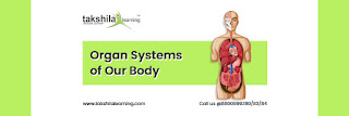 Organ Systems of Human Body Class 3 Science