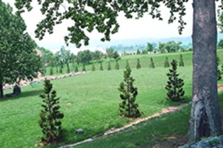 Daegu Hwawon Resort