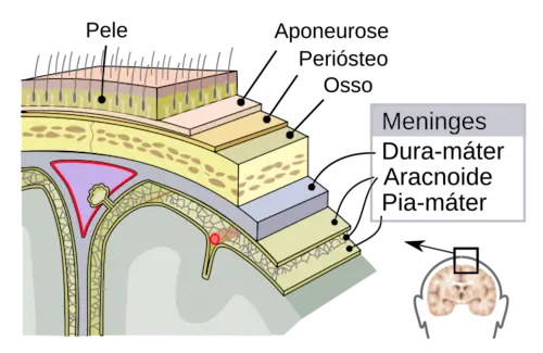 Maceió registra aumento de casos de meningite em 2025