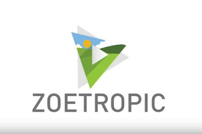 Zoetropic Cover