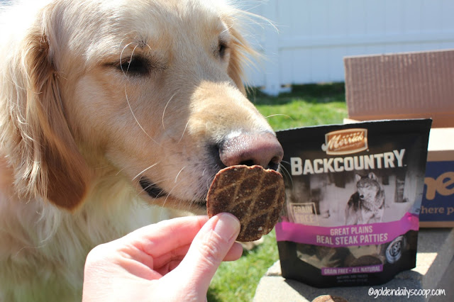 chewy.com merrick dog treats review 