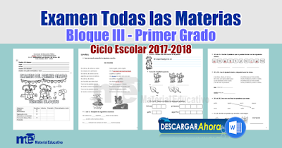 Examen Todas las Materias Bloque III - Primer Grado 2018-2019