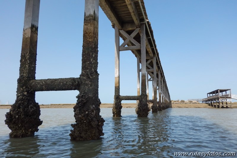 Kayak Rio San Pedro