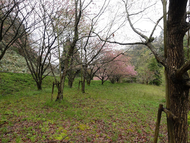 鳥取県西伯郡伯耆町小林　マウンテンストリームきしもと