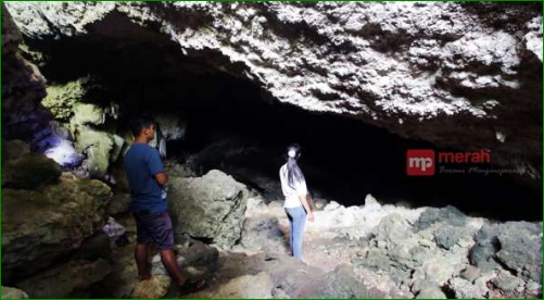 Goa Song Terus