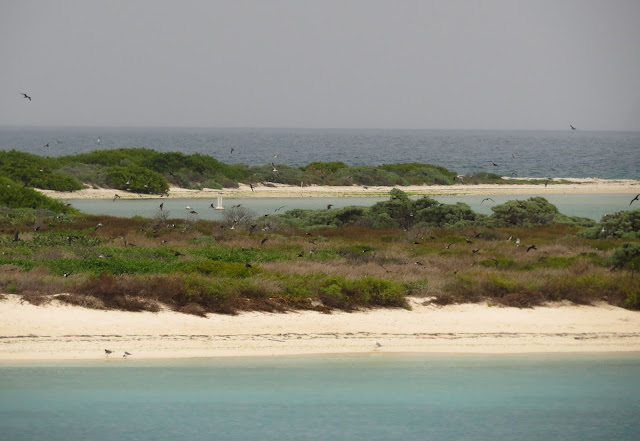 Dry Tortugas, Florida