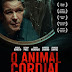 [News] Divulgados cartaz e trailer oficiais de ´´O animal cordial´´