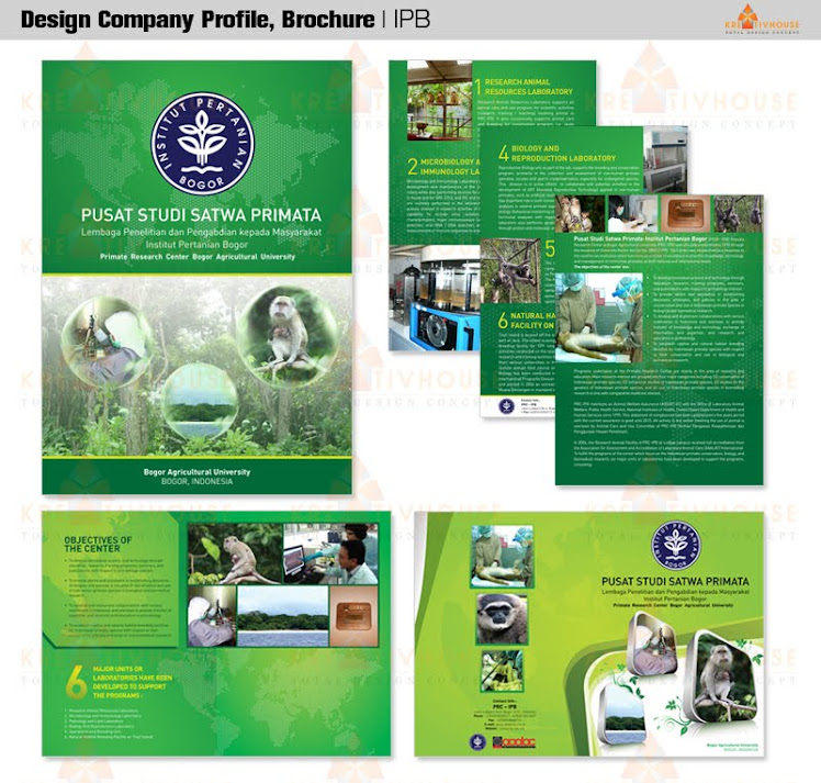 Brochure & Company profile - IPB