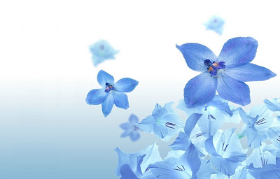 Blue Flowers