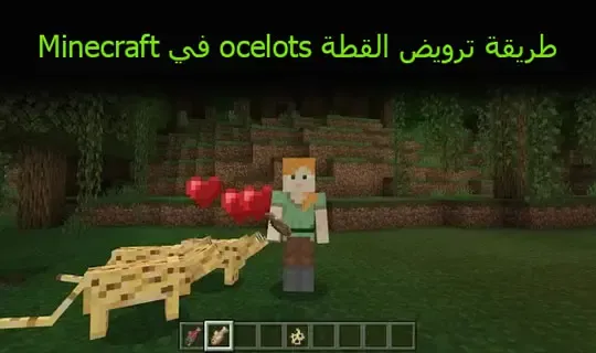 طريقة ترويض القطة ocelots في Minecraft