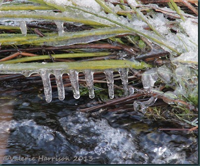 10-icicles