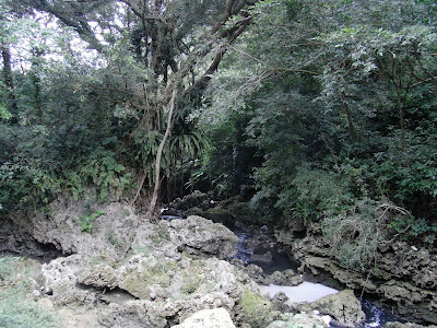 浦添大公園（沖縄県浦添市）