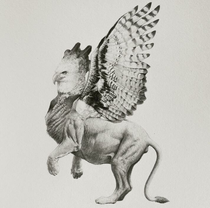 08-Griffin-Surreal-Animal-Drawing-Mateo-Pizarro-www-designstack-co