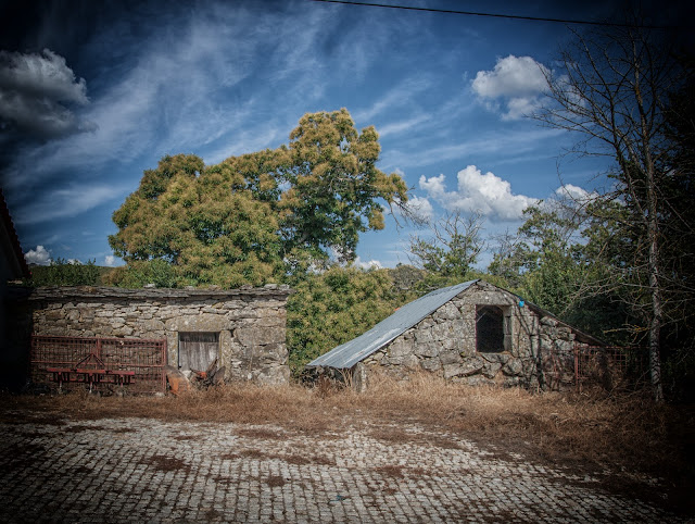 Pinheiro Velho portugal