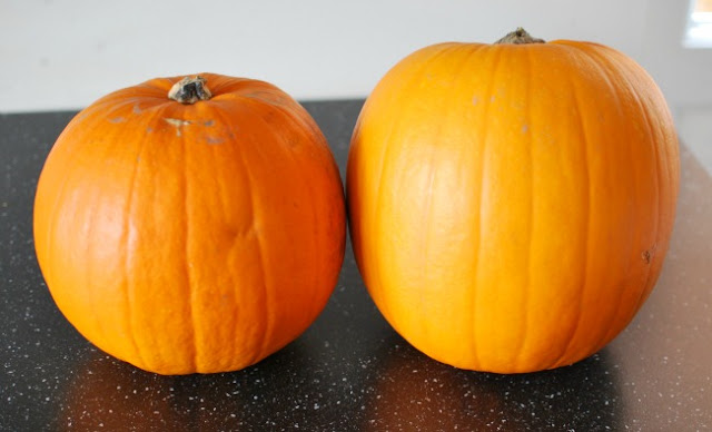 2 pumpkins