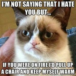 Grumpy Cat