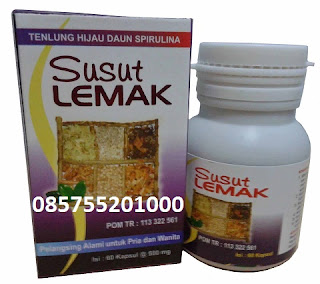 JUAL SUSUT LEMAK DI SURABAYA 