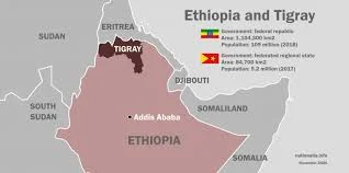 Ethiopia's Tigray crisis: UN aid chief says there is famine