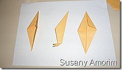 SAM_0460