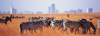 http://1-day-tours-in-kenya.com