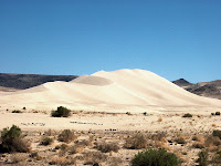 Sand Mountain, Nevada