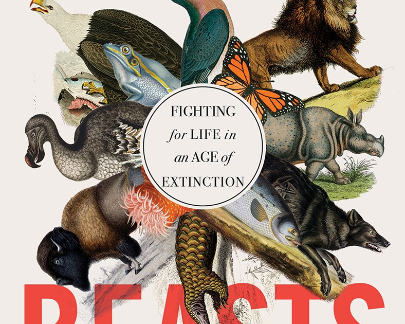 beloved beasts book review