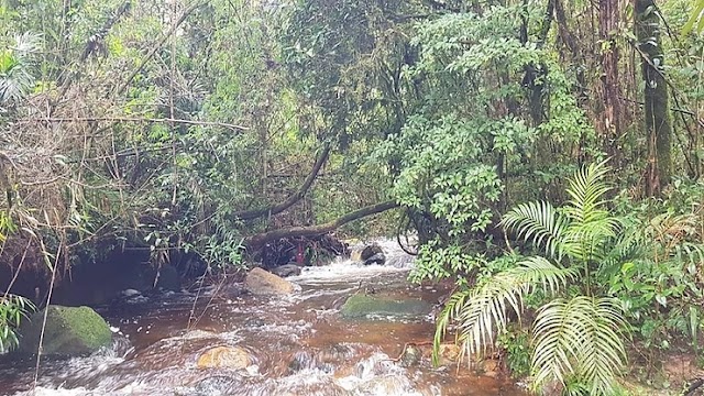 Três pessoas morrem afogadas em cachoeira na Estrada da Graciosa