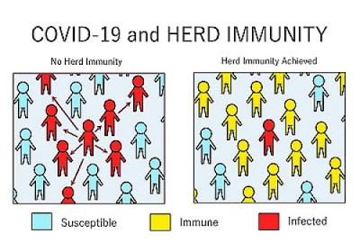 COVID-19 and Herd Immunity - TechSci Research