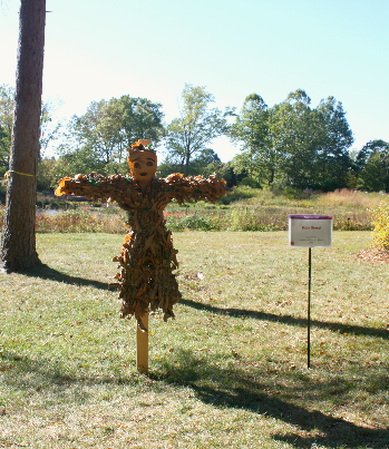 Mini Groot Scarecrow at Morton Arboretum