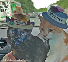 Flat Cats stuck in traffic, somewhere in Virginia