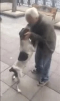Depois de três anos dono encontra seu cachorro na rua