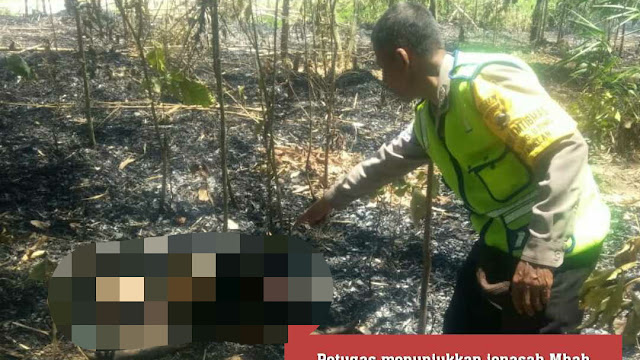 Bakar-bakar Dikebun Milik Sendiri, Mbah Tijah Tewas Terpanggang